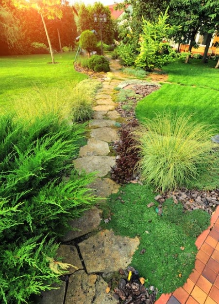 Landscape company in Arcadia AZ