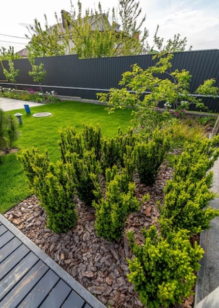 Landscaping Chandler AZ